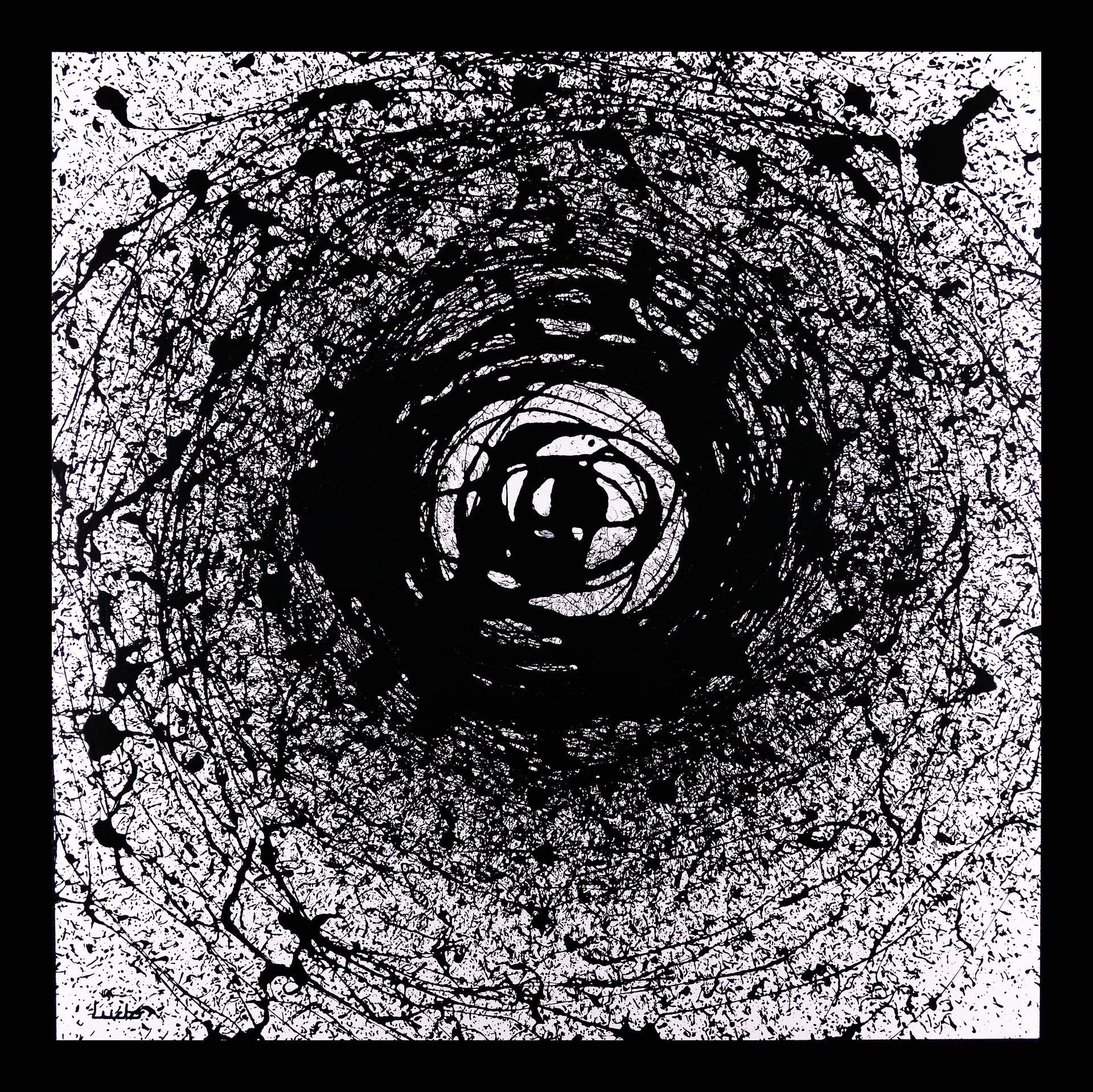 oeil-admirateur-ludovic-biquand