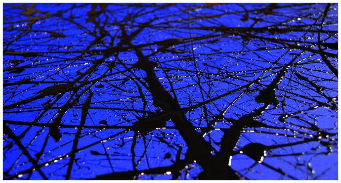 seule-nuit-ludovic-biquand