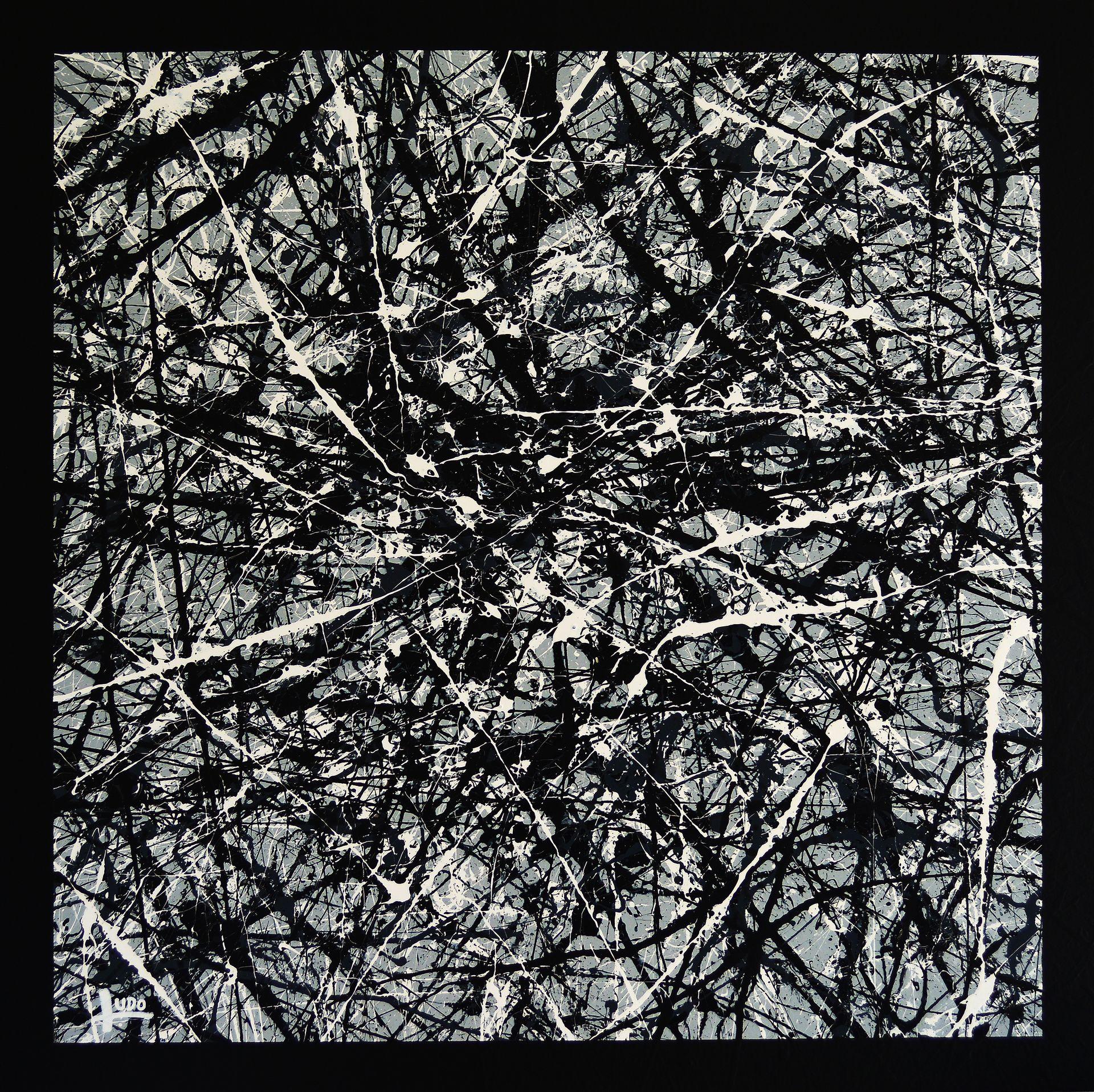 through-sained-glass-ludovic-biquand
